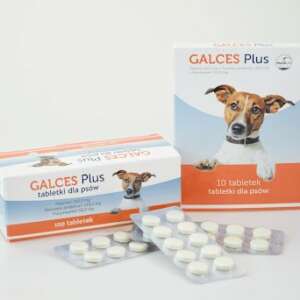 Galces Plus Tabletki Dla Psów