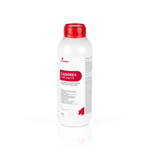 CADOREX
